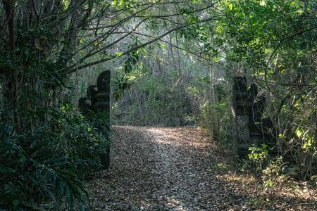 Magical old gate to the secret gardenの写真素材