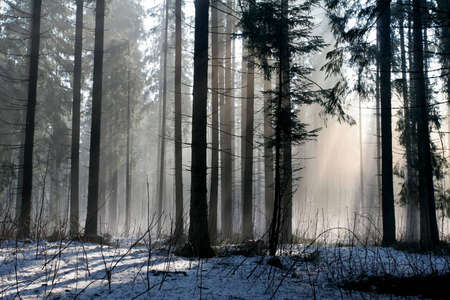 Snow and sunshine