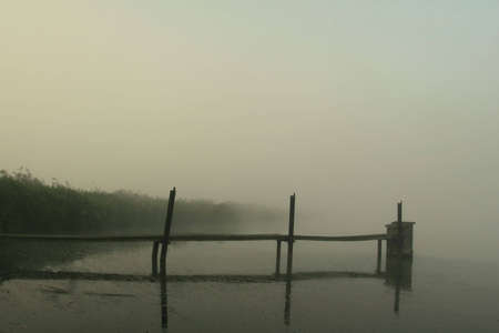 Fog in the summer dayの写真素材