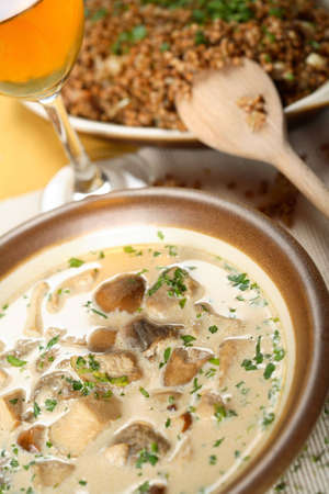 Buckwheat groats and cream soupの写真素材