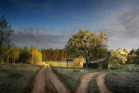 Wooden cottage next to the small roadの写真素材