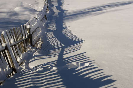 A wooden fence covered by deep snowの写真素材