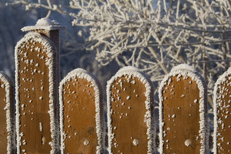 The frosted, wooden fence in the winter dayの写真素材