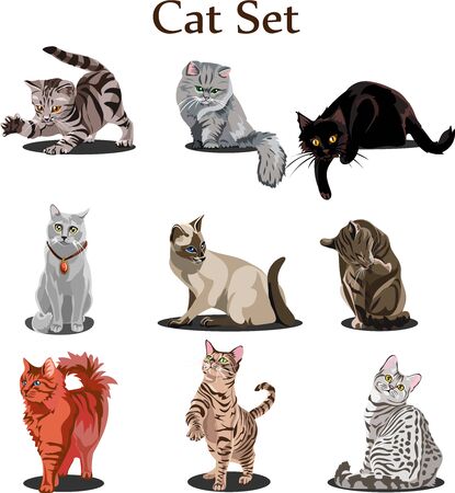 Collection of Vector Cute Cats of different breeds.のイラスト素材