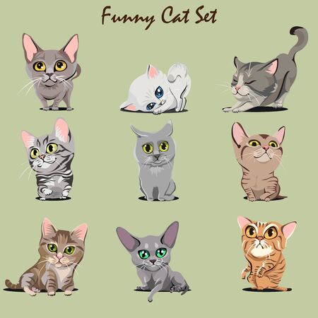 Collection of Vector Funny Kitties of different breeds.のイラスト素材