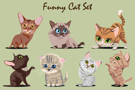 Collection of Vector Funny Kitties of different breeds.のイラスト素材
