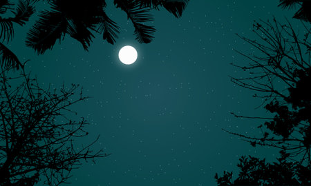 Beautiful night sky landscape in forest with moon and stars