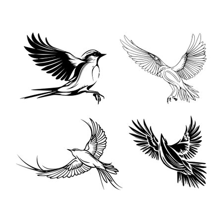 Set of flying birds. Black and white vector illustration isolated on white background.のイラスト素材