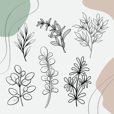 Set of hand drawn doodle herbs and flowers. Vector illustration.のイラスト素材