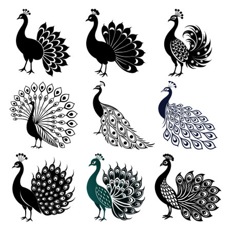Peacock vector set. Black and white peacock silhouettes isolated on white background.のイラスト素材
