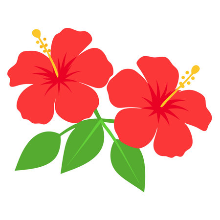 Hibiscus flower icon on white background. Vector illustration.のイラスト素材