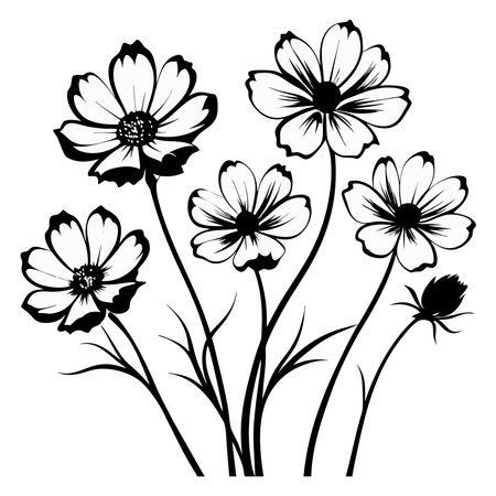 Black and white cosmos flowers silhouettes isolated on white background. Vector illustration.のイラスト素材