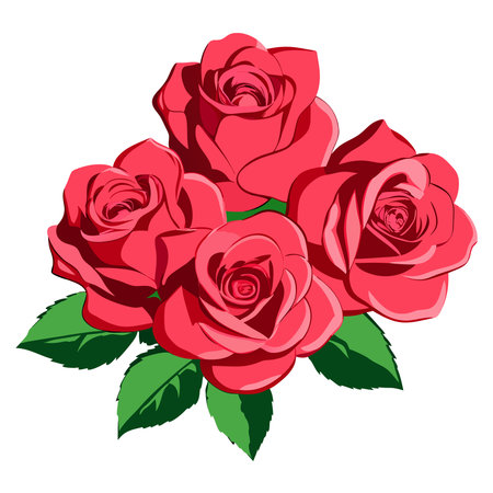 Red roses isolated on white background. Vector illustration. EPS 10.のイラスト素材