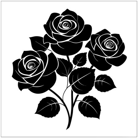 Black rose on a white background. Vector illustration for your design.のイラスト素材