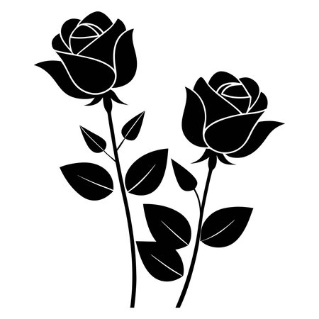 Black and white roses on a white background. Vector illustration of flowers.のイラスト素材
