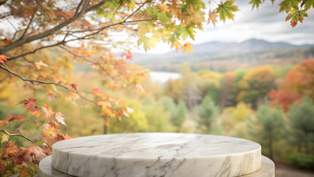 Empty marble podium over blurred autumn nature background, product display template.の写真素材