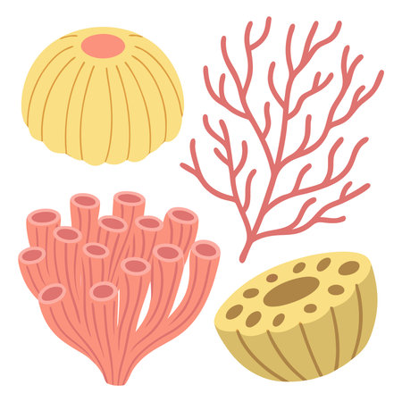 Set of corals isolated on white background. Vector illustration in cartoon style.のイラスト素材