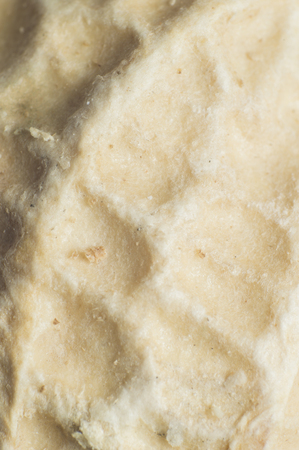 nutshell skinの写真素材