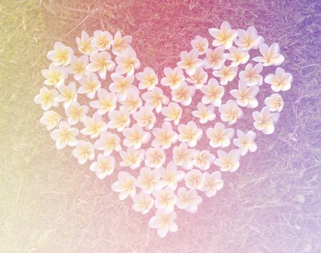 Soft blurred of flowers  in pastel tone for background.の写真素材