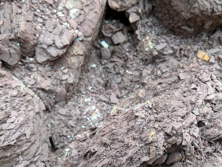 image of soil background