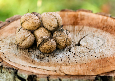 pile of walnuts on cut woodの写真素材