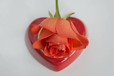 valentine's day conceptの写真素材