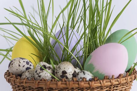 easter concept with quail eggs