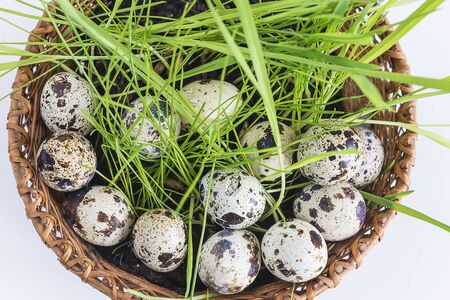 Quail eggs in the basket