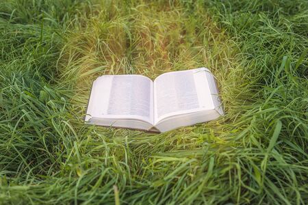 Open book on the grassの写真素材
