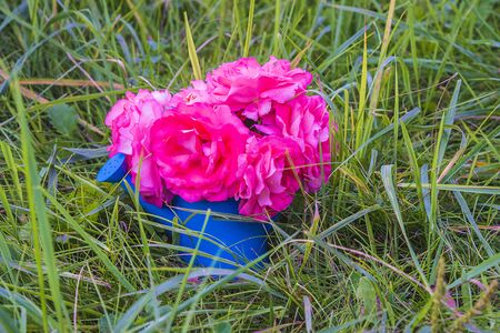 Summer gardening conceptの写真素材