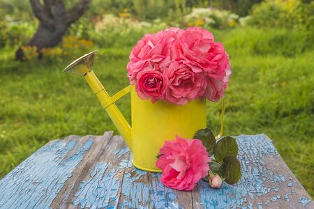Summer gardening conceptの写真素材