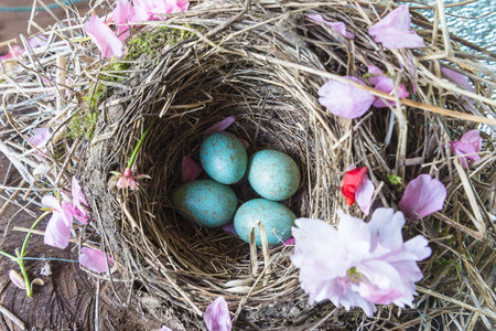 Easter eggs in the nest with spring flowers on a wooden background