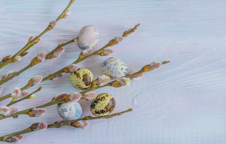 Easter eggs and willow twigs on a white wooden background