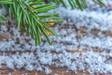 Fir tree branch covered with snow on wooden background. christmas backgroundの写真素材