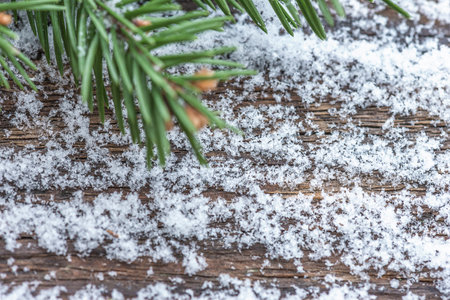 Fir tree branch covered with snow on wooden background with copy space