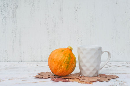 Cup of coffee and pumpkins on white wooden background with copy spaceの写真素材