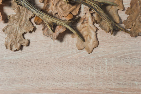 Dry oak leaves on a wooden background. Top view with copy space.の写真素材