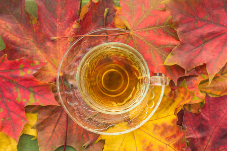 Cup of tea on autumn leaves background. Top view, flat layの写真素材