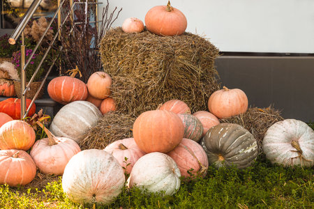 Pile of pumpkins and straw bales in front of the house