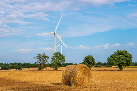 Wind turbines in a field with straw bales and trees in the backgroundの写真素材