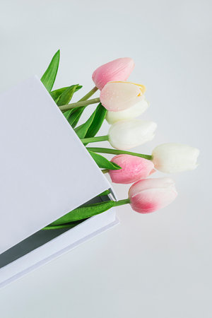 Bouquet of tulips in a book on a white backgroundの写真素材
