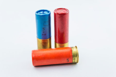 bullets isolated on white background - closeup of a shotgun shell