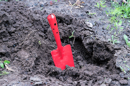 Shovel in the ground. Gardening concept. Selective focus.の写真素材