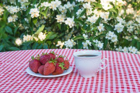 Cup of coffee and strawberries on a table in the garden.の写真素材