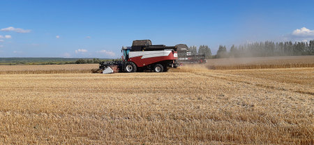 Combine harvester working on a wheat field in the summer