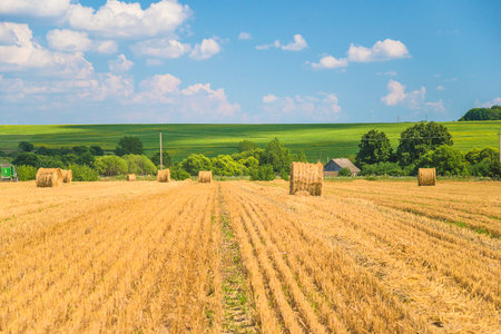 Agricultural field with straw bales in summer, Czech Republicの写真素材