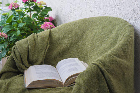 Open book on a green sofa with a blanket in the living roomの写真素材