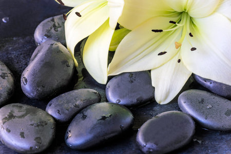 Spa stones with lily flower on dark background. Zen concept.の写真素材