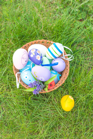 Easter eggs in basket on green grass background. Happy Easter.