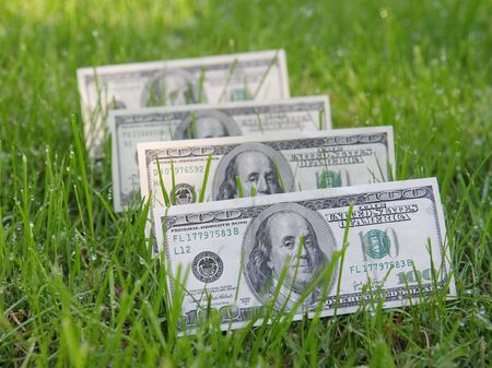 money growの写真素材
